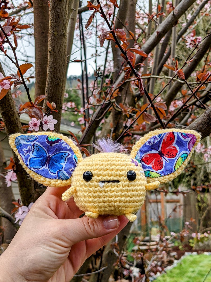 Sunshine and Cherry Blossoms🌸