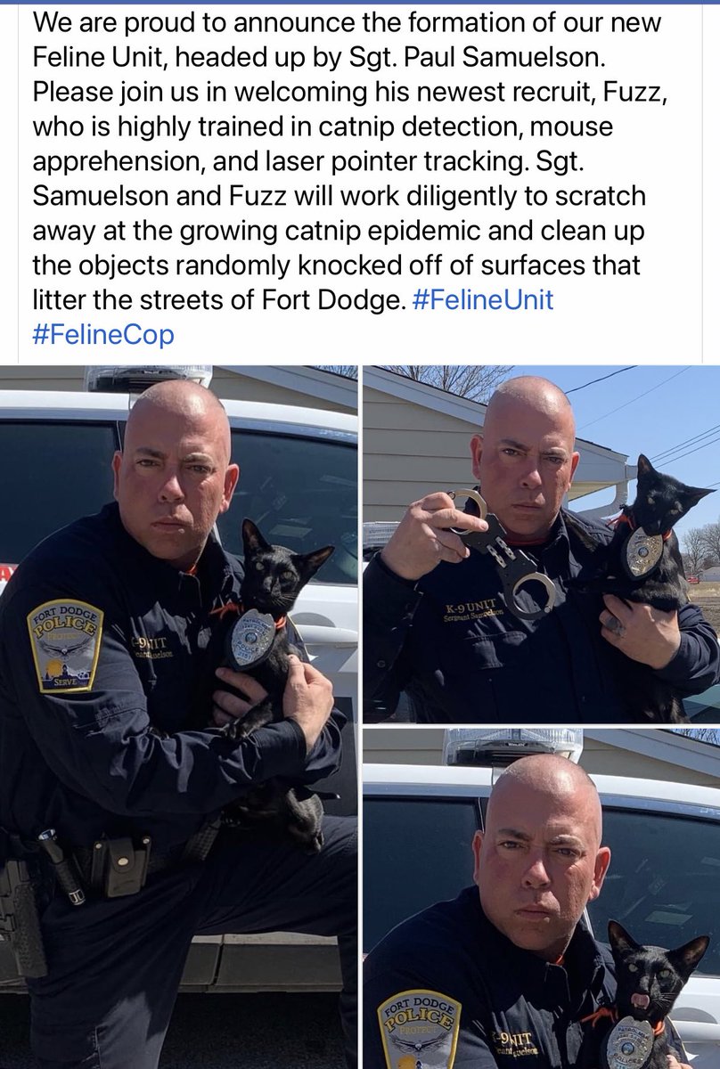 ThePhilosopurr's tweet photo. #FelineCop #FelineUnit
A pawficer with purrpose…
@FortDodgePolice #FelineFriday
- it’s not my nip, I’m holding it for a furiend … https://t.co/tlfEjufDW3