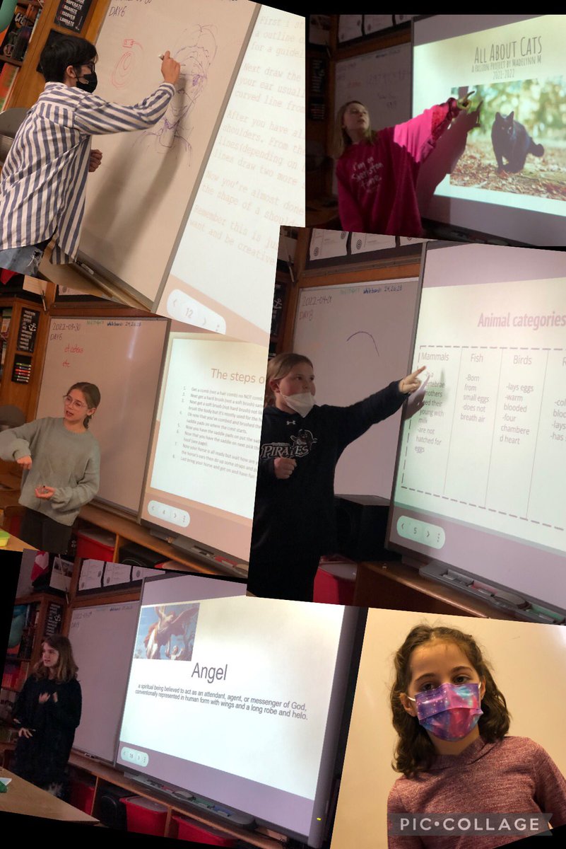MrKSDyck's tweet photo. Proud of these six Grade 6/7s @PortWellerPS who were the first to #Present their #PassionProjects! #Singing #HorseBackRiding #Animals #Cats #Paranormal #Drawing #OralCommunication #Courage #MediaLiteracy #VirtualGuest #EmailsToProfessionals who share their #Passion @robdunlopEDU https://t.co/I5GfauZoeE