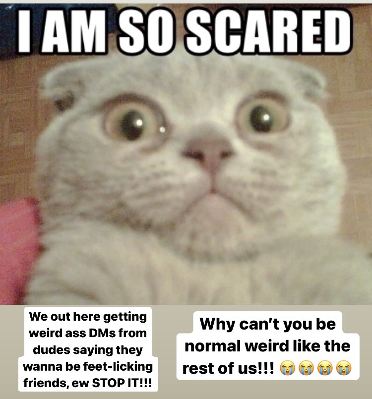 pearbeartv1's tweet image. #stopit #getsomehelp #TwitchStreamers #twitchgirls why is this our life?!