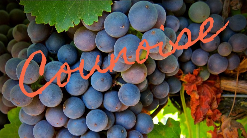 Unionville's Pig Roast Is Back - mailchi.mp/unionvillevine…