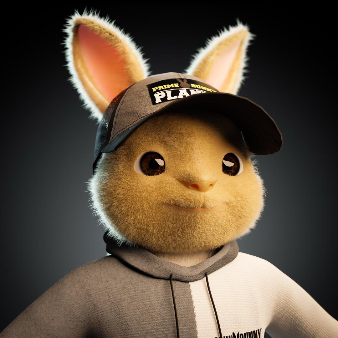 The Prime Bunny Planet is an NFT that combines exceptional art with real utility! 

Check out our website for a detailed description of our utility. 🐰🚀🌗

primebunnyplanet.com

#NFT #metaverse  #3dart #PrimeBunnyPlanet #discord #rare #website