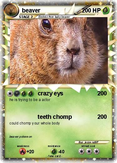 WSU Wildlife Ecology's March Mammal Madness! tweet media