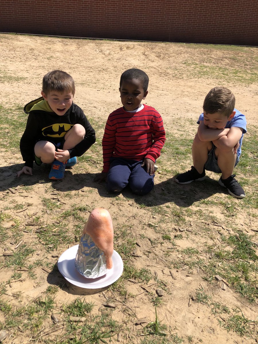 Cassandra Wolfe tweet media