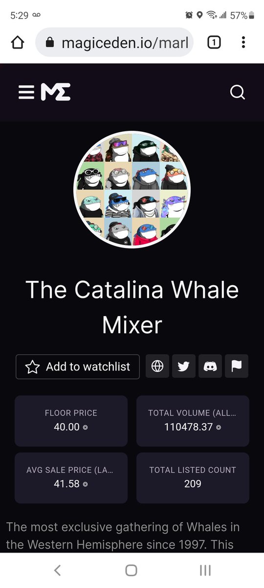 solcharlie33's tweet photo. Holy Pow Pow! @catalinawhales Floor is Lava! https://t.co/cCT8i6ayVG