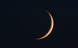 TecnoMobileNE's tweet photo. Ramadan Karim à toutes et à tous !
Selon des sources dignes de confiance, le croissant lunaire est aperçu dans plusieurs localités au Niger. Cela marque le début du jeune du moi de Ramadan. Pour cette occasion, #tecnoniger vous souhaite Bon Ramadan. https://t.co/cPVXzJxt0q