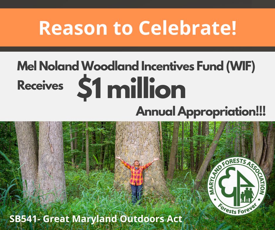 mdforests's tweet photo. A historic achievement for Maryland's forest community happened last night.  The 2022 General Assembly mandated by law, the annual appropriation of $1M to WIF!!! 👏🏽💰🌳
#marylandforests #forestsforever

Photo credit 📸: Edwin Remsberg Photographs https://t.co/yAoGlyBFyv