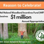 Photo by Maryland Forests Association (@mdforests)