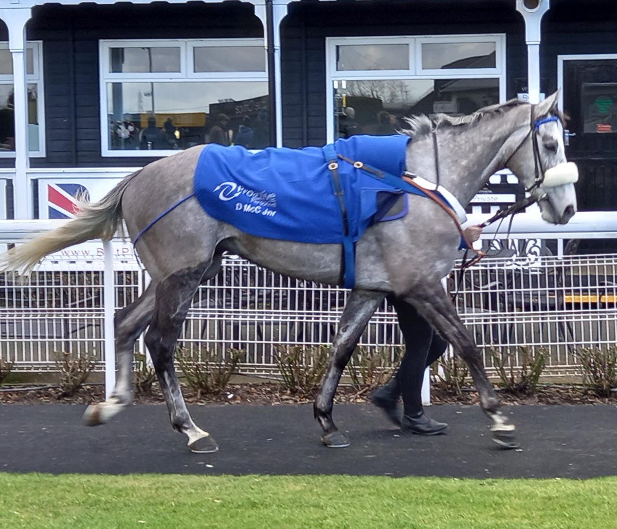 Well done grey skies for getting 2nd today wish I could of been there,bloody covid,exciting times ahead next season.thanks donald and team mccain at bankhouse,and the champ brain Hughes.see you soon grey skies