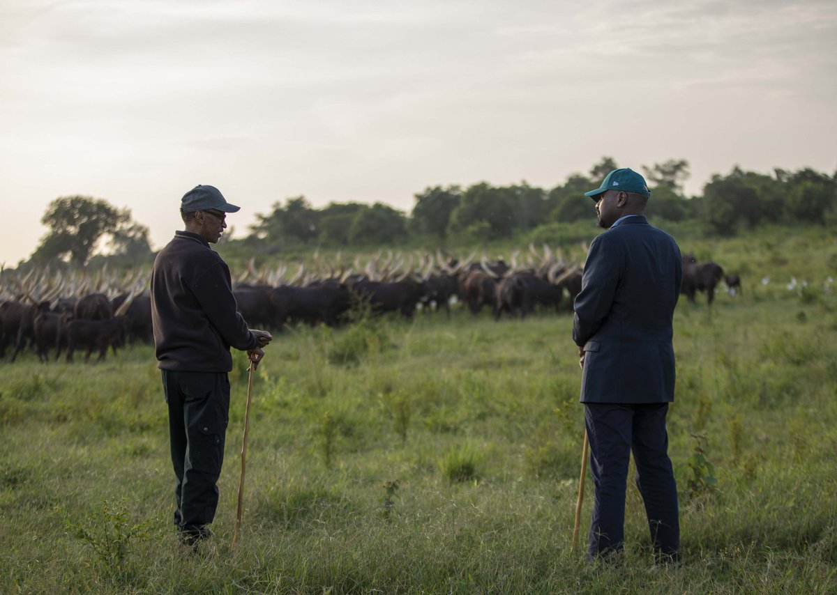 mkainerugaba's tweet photo. Uganda is in complete peace! The minute my Uncle, President Kagame, decided to make peace with me and my father we were at peace! This is the peace of the Warriors! https://t.co/fgmGUr9Bm8