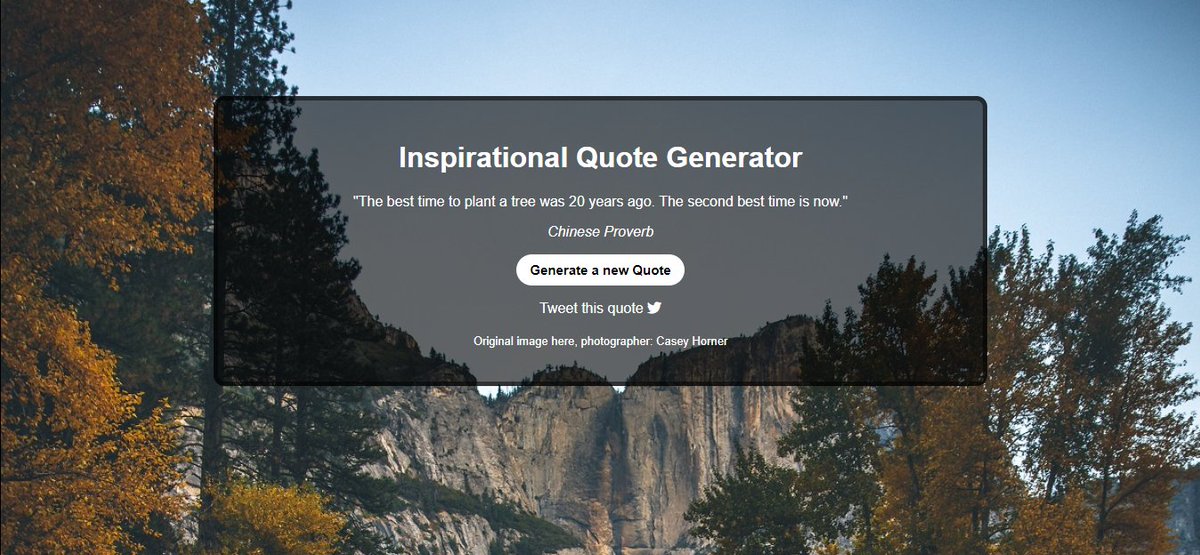 Adam Walker tweet media