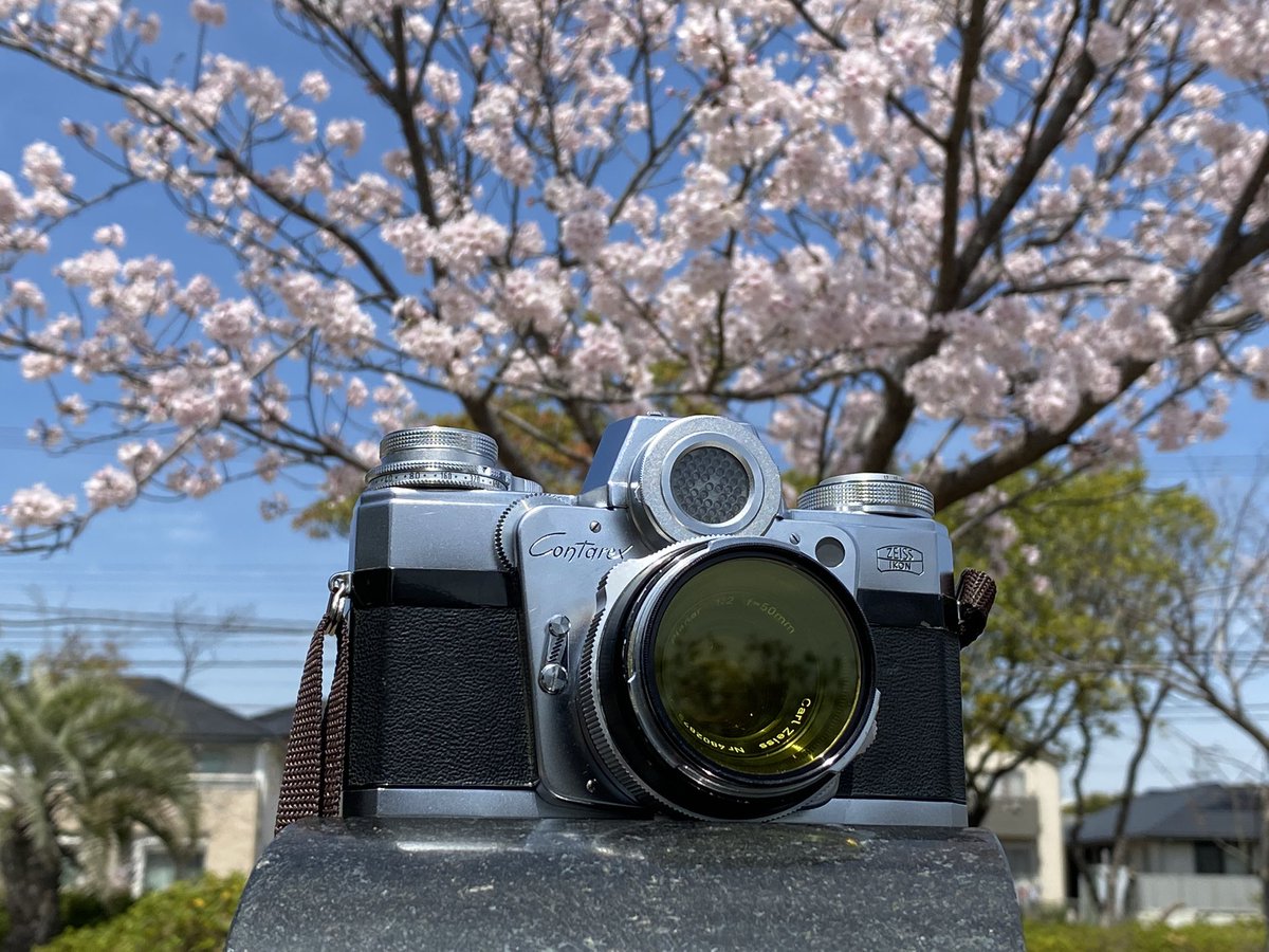 junk_came's tweet photo. ASA400の晴天はキツいっすね。せっかくのプラナーでも絞り気味に😵
開放付近が撮れてないのは残念😞
今度は100か200を買おう😆🐢
ZEISSIKON Contarex Ⅰ
Carl zeiss Planar 50mm F2.0
Agfa APX400 pro
#zeissikon
#Contarex
#planar https://t.co/dkvwfJ8BoI