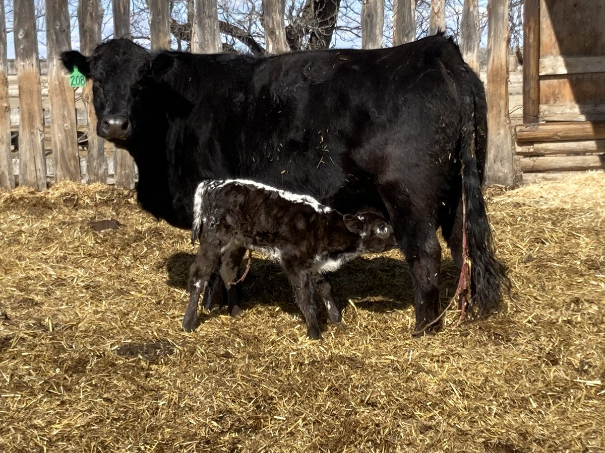 Trevor Yurchak tweet media