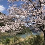 ツイートに含まれる画像