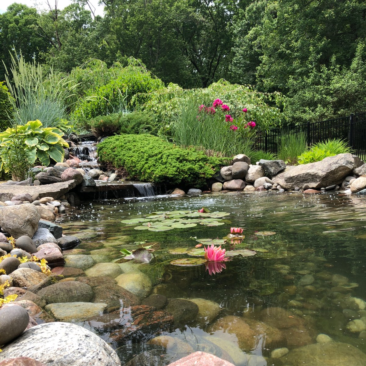 Tranquil Water Gardens 2 (@tranquilwg2) on Twitter photo Hard work and customer satisfaction are the foundations of everything we do. Hard work and customer satisfaction are the foundations of everything we do.