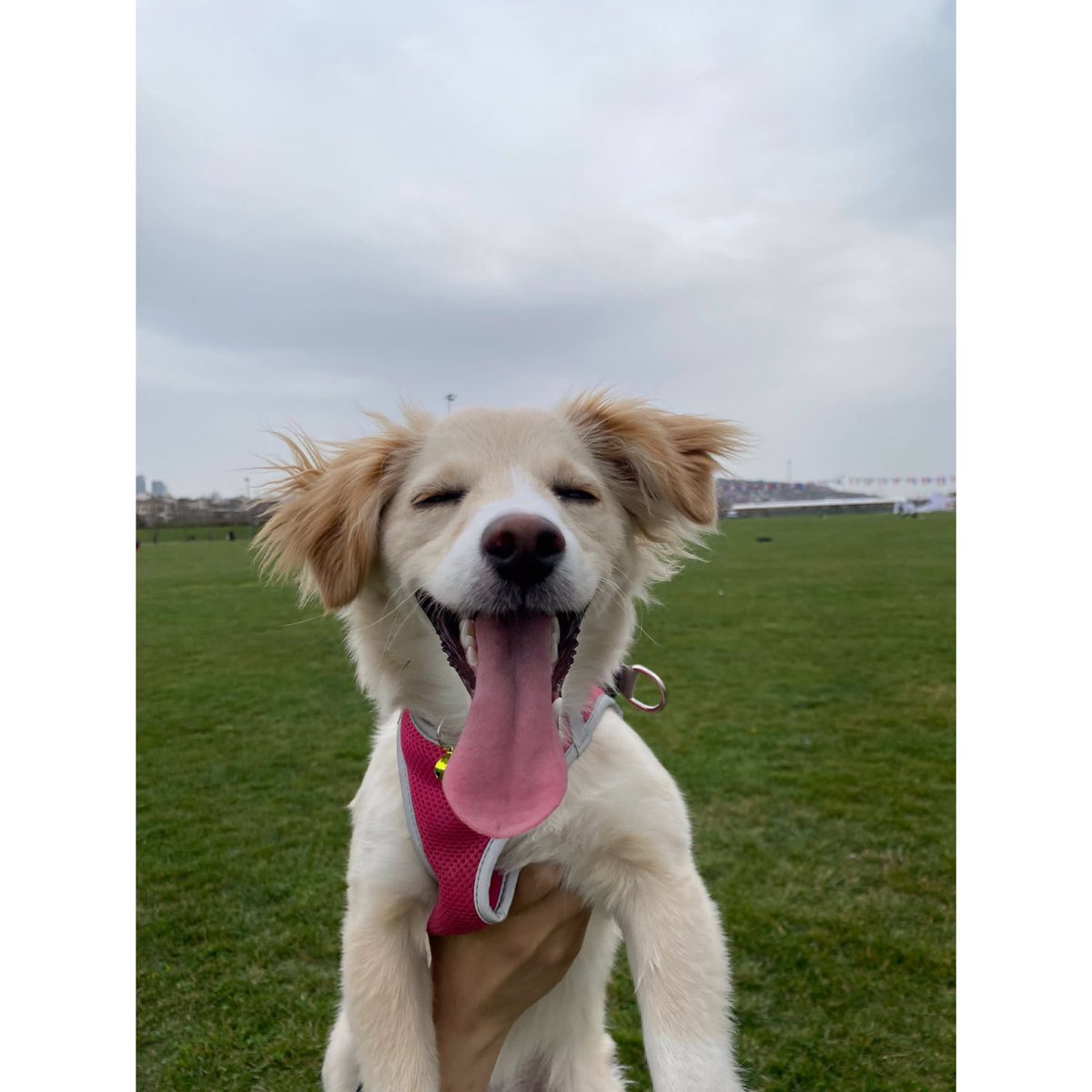 Canım yavrum seni çok çok çok seviyorum ❤️