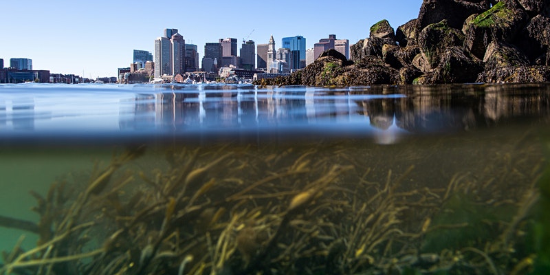 BostonHarborNow's tweet photo. Revolutionary Harbor: The Underwater Archaeology of Boston
April 13, 2022 7:00 PM

Learn about the discovery of the hidden world below the waters of Boston Harbor with @bostonNHP &amp; David Robinson from MA BUAR

RSVP: https://t.co/ndQiMsXepp https://t.co/0DomyZXzaj