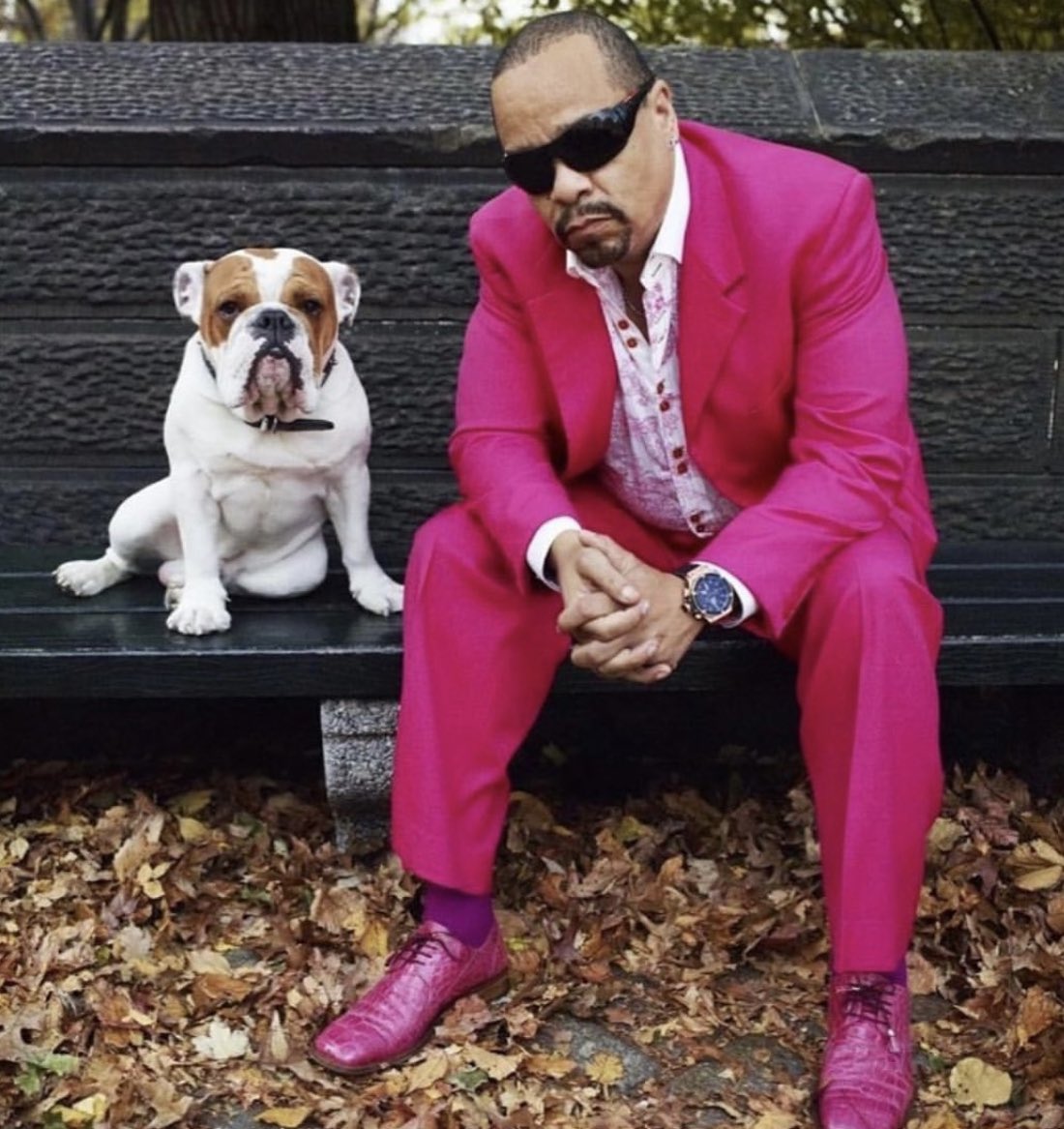 FINALLEVEL's tweet photo. If you’ve not having fun on Twitter, you’re missing the point. Everyone have a Great Day! 💎 https://t.co/YAGfknnAKo