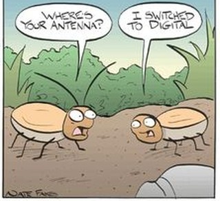 The Wheeldon Company Pest Management tweet media