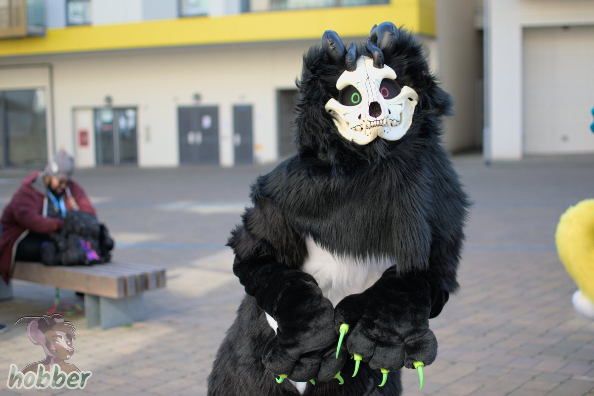 Guard_Mutt's tweet photo. A very pleased looking skull dogโฆ
-
๐ @GeekRetreatFurs
๐ธ @_hobber
-
#fursuit #furry #fursona #furryfandom #skulldog #skulldogs #geekretreat #bat #batsonas #skullbat #skullbats #photography https://t.co/4a8yvzkFLz