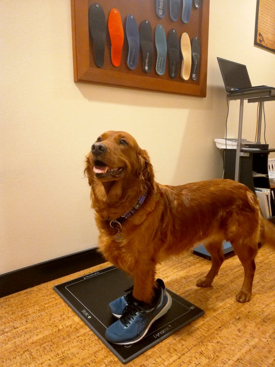 bothellchiro tweet picture