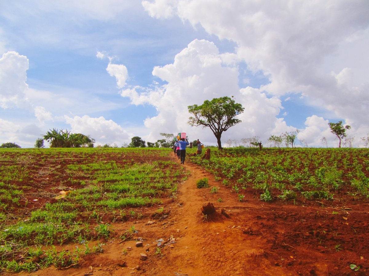 #FBF to the amazing work <a href="/frmdbljoy/">formidable joy</a> did in Mbongozi last year by bringing more clean water to Malawi ❤️🌍