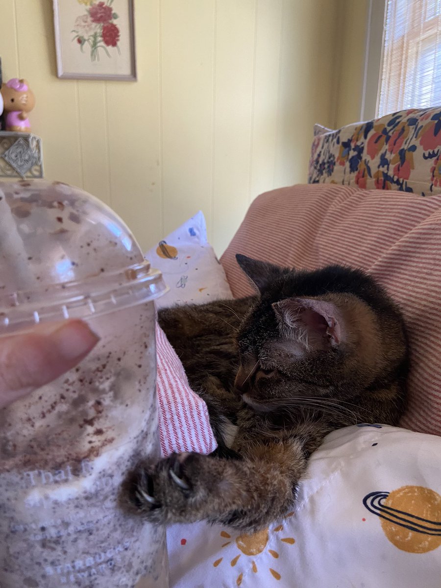 skaterqueen22's tweet photo. I can say all for love 🥰💚��🥨🥨🥖🥖🍗🧇🍕 https://t.co/vkfK5c7yf1