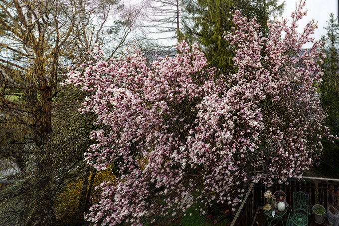 This image is greatly reduced in size. The original has 25759x17172 pixel so about 420 megapixel and