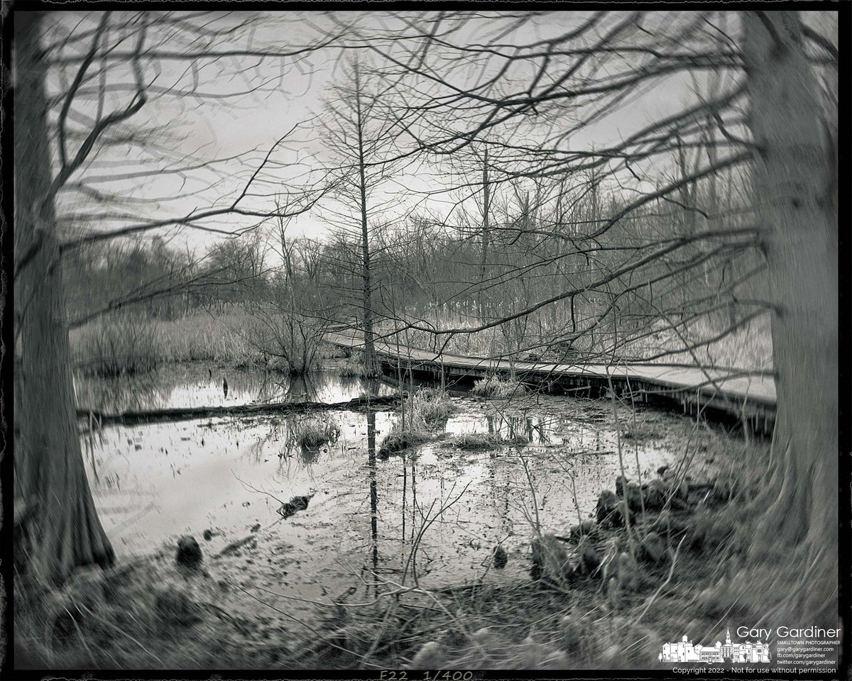 mnmlst_com's tweet photo. Park boardwalk. #bw #monochrome #blackandwhitephoto #blackandwhite https://t.co/01DtdnJURH