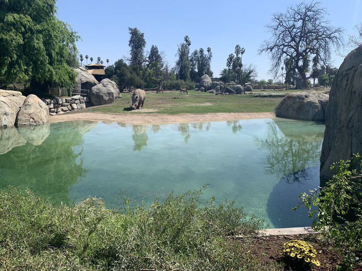 KnightTimeNow's tweet photo. Sometimes the workplace is such a zoo! Thanks to @FresnoEOC for letting me in on your wonderful training at the amazing @FresnoZoo #communityaction #BODtraining https://t.co/qVlkstlHp2