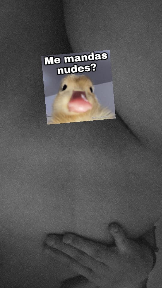 HotBaby07's tweet photo. Les tengo el regalo, pero con nueva dinámica, 30 retwits y la subo sin sticker. uwu https://t.co/77g9gmt5Cf
