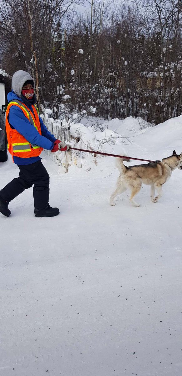 InclusionNWT's tweet photo. Joey walks Kanga in between his work shifts with the Inclusion NWT Business Services Team!
#walkaday #DogsofTwittter https://t.co/Npaa1f2GDd
