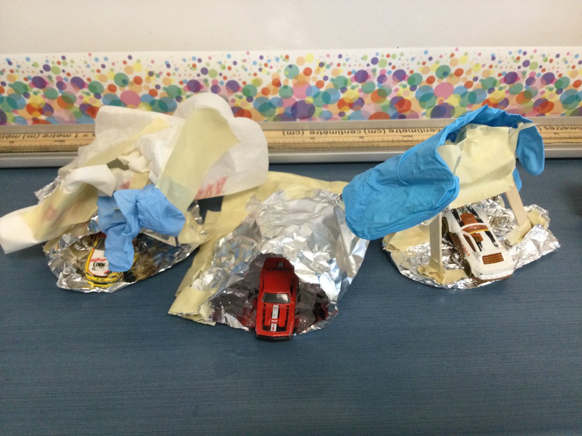 Ms. Palma tweet media