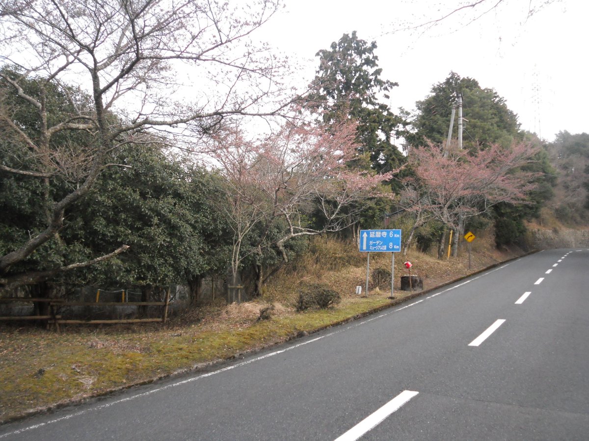 hieizan_way's tweet photo. 4月2日（土）曇り
山内各所の桜の見頃はもう少し先です。
一昨日？はエイプリルフールでしたね。
＃比叡山 #卯月 #学年境目 #AbsoluteLie https://t.co/pOo9laFz8I