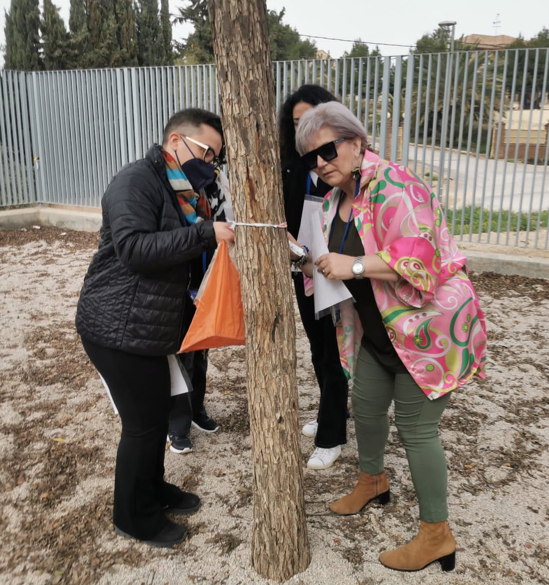 <a href="/Totana_O/">Totana Orientación</a> agradece al colegio La Cruz su apuesta por la #orientación en el marco del programa Erasmus KA229 Healthy Active Sports. Un numeroso grupo de profesores de varios países europeos, han disfrutado de una entrañable jornada de orientación.