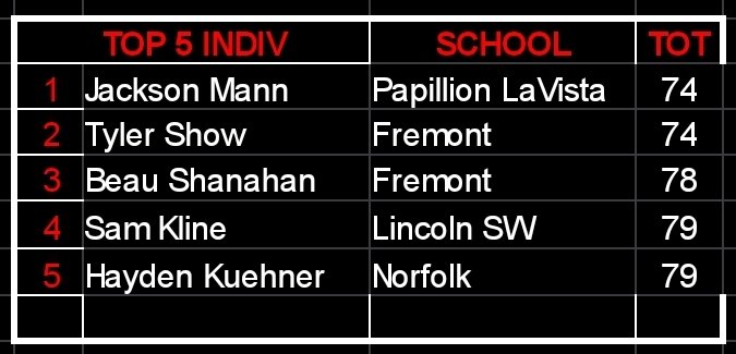 LSW Golf tweet media