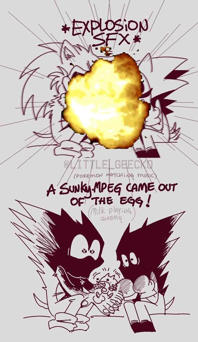 Pokemon Sunky mpeg 2