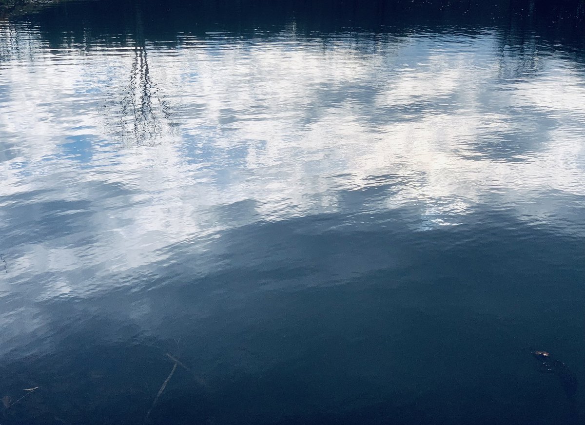 ScottRamzay's tweet image. #marchreflectionchallenge segues into #AprilTextureChallenge