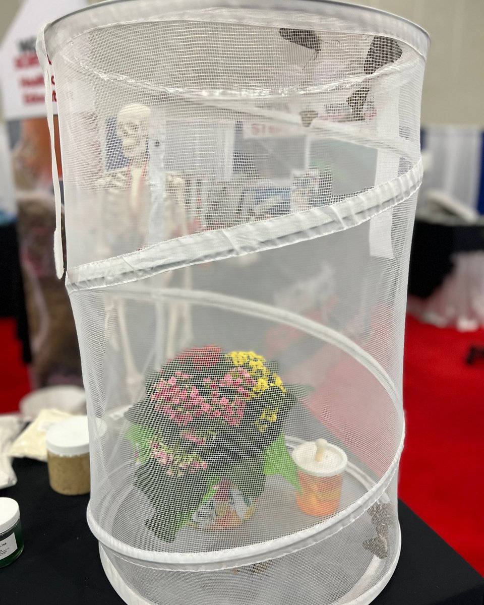 WardsScience's tweet photo. Butterflies at NSTA. Visit Ward's Science booth 2219 and check them out! #NSTA22 #scied #scienceteachers https://t.co/7GY9e02dma