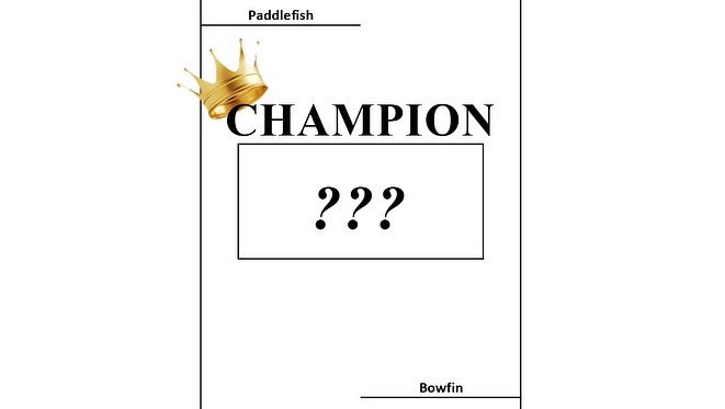 PD_31's tweet photo. All the votes have been tallied and after a 60-40 victory, I’m happy to announce the champion of the inaugural #FishMadness tournament!
Our 2022 winner is, none other then, the #Bowfin (Amia calva)! #fish #nativefish #lakes #rivers #streams #wetlands https://t.co/hDaTkrQ1Zt