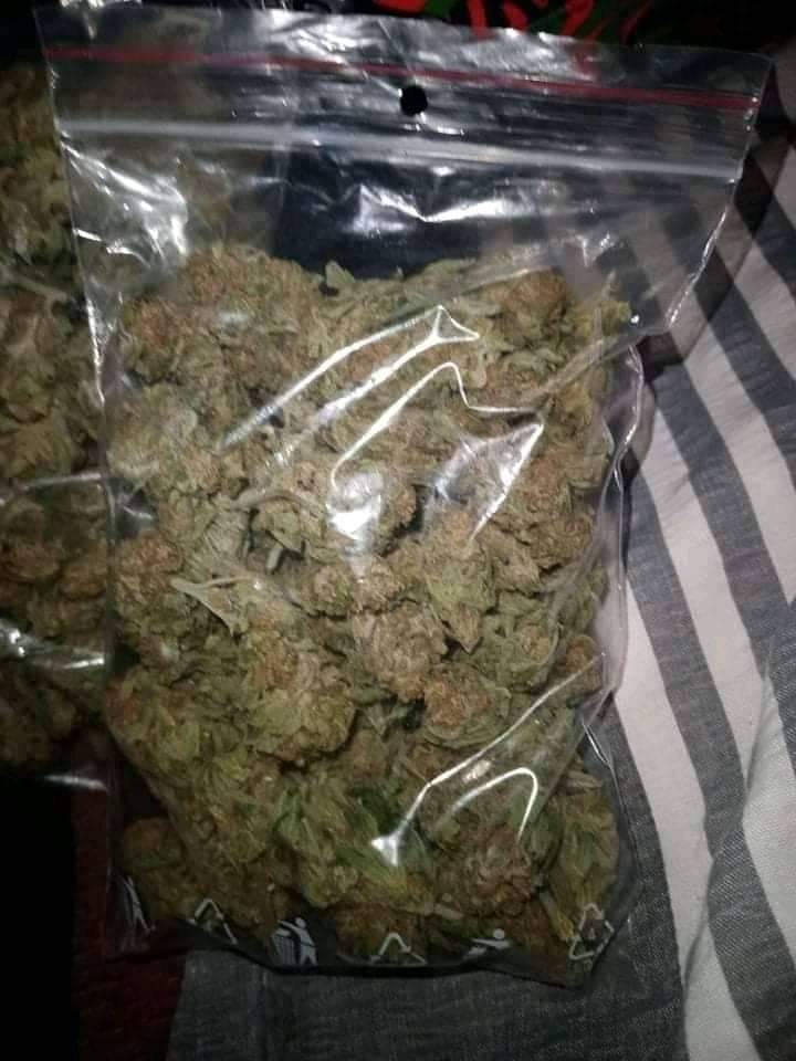 $500 man power chat me for it