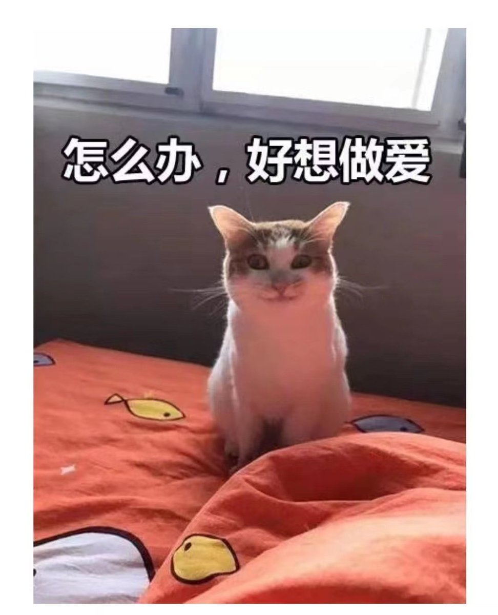 大射郎 tweet media