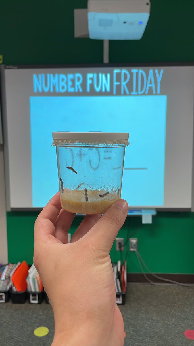 Look at our new additions to our class family 🥺🐛 we are SO excited to watch them grow!