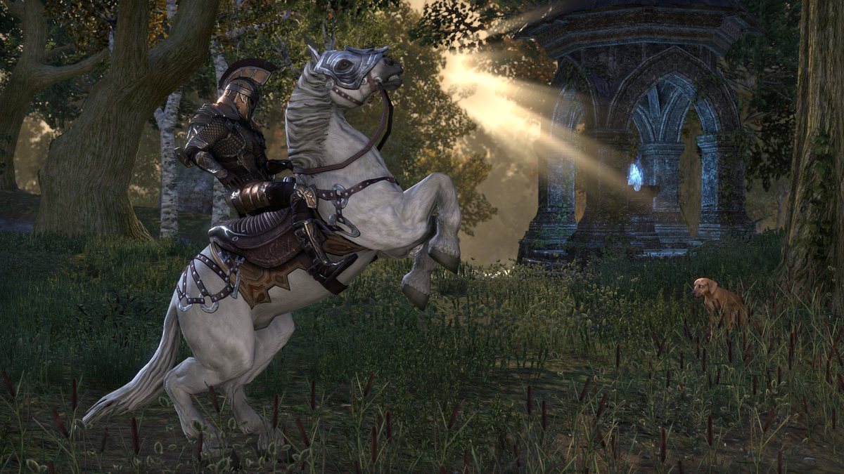 TonyMunozDev's tweet photo. Hey, gamer! What do you think about The Elder Scrolls? https://t.co/5sys7HcQUH……

Your opinion is important for us! Reply here!
Join our Discord: https://t.co/7zaXuSzFjt

#GamersXP #GamersUnite #videogames #wulum #Friday https://t.co/h02E49n1oZ