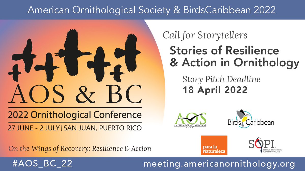This year for our #storytelling event at #AOS_BC_22 in Puerto Rico, we’re seeking uplifting stories of resilience & action in #ornithology. Do you have a story to share? Send us your pitch by 4/18! Details, guidelines & story submission link: meeting.americanornithology.org/aos-bc-call-fo…
