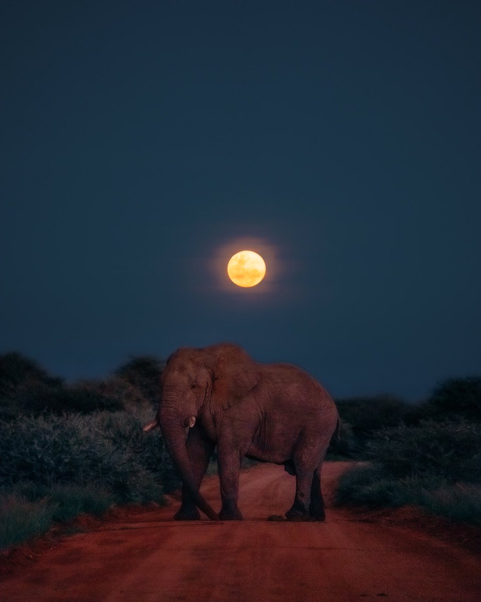 Can I get a gn fam. 
Wishing you a lovely weekend. Stay awesome 💙