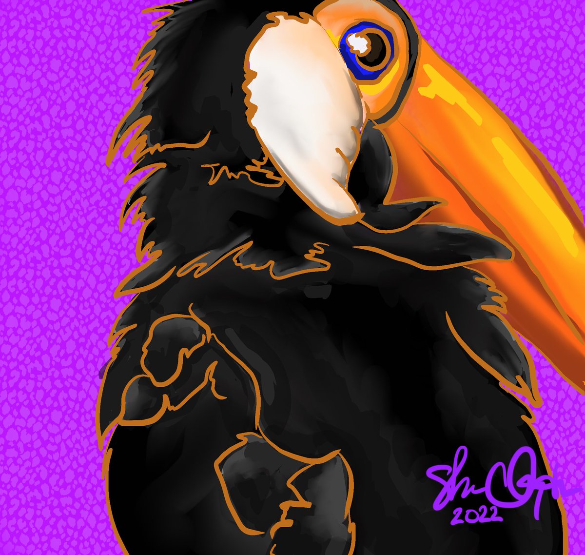 TezosBirds's tweet photo. Celebrating our Toucan #01 going to its new home by dropping Toucans #02 and #03 on @hicetnunc2000 !

Both are 1/1s
1.75 $XTZ each

https://t.co/xHquhCyo0s

#CleanNFT #tezos #XTZ #tezosnft #WomenInNFTs #bird #toucan #NFTCommunity 

Created by @dioxz_violet https://t.co/cNInA7Usot