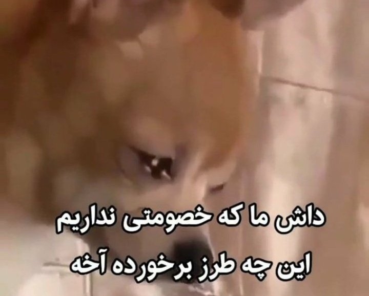 Hocein_javid's tweet photo. @_javid_27 داداشیه منی😅 https://t.co/vp6XTbSosS