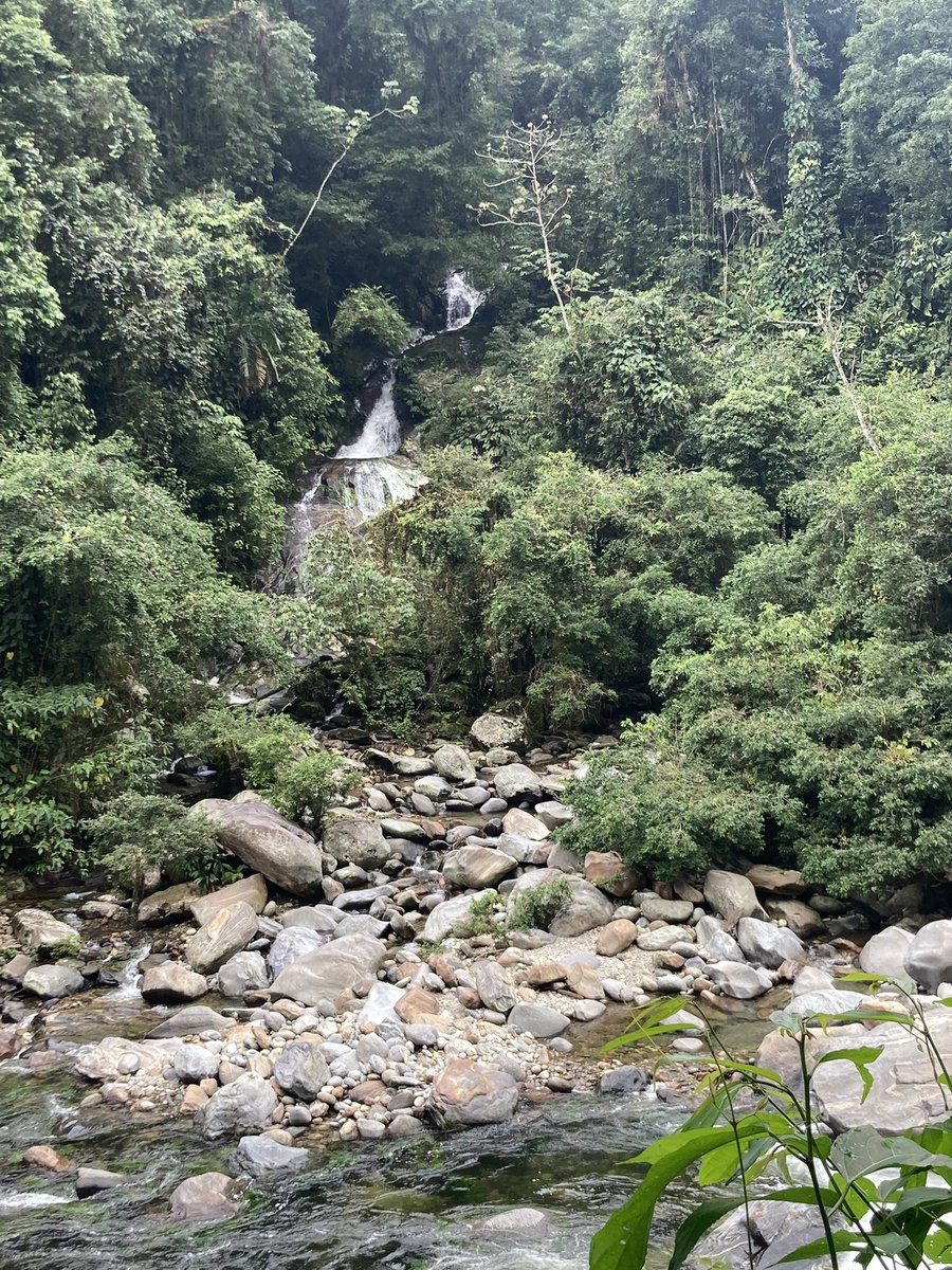 adrian22_f's tweet photo. Llevo 4 días en el monte alejado de todo, subiendo la Sierra Nevada de Santa Marta, se los recomiendo 100% para meditar y reflexionar. https://t.co/MVFxQAsIwQ