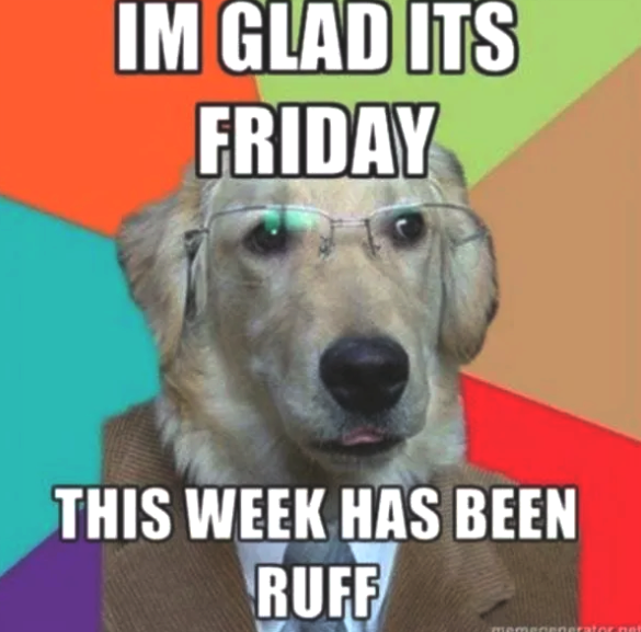 Have a good weekend!